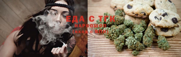 тгк Абаза