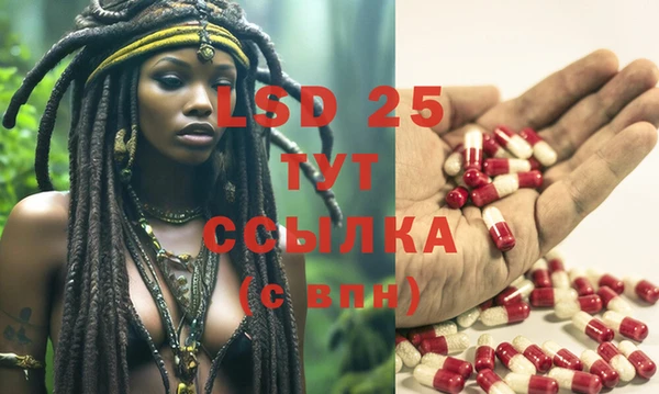 стаф Протвино