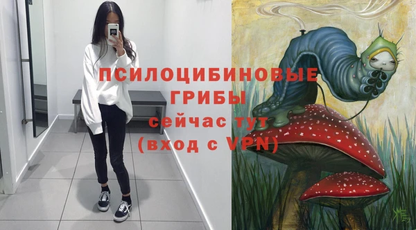 ГАЛЛЮЦИНОГЕННЫЕ ГРИБЫ Абдулино
