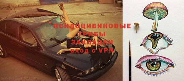 ГАЛЛЮЦИНОГЕННЫЕ ГРИБЫ Абдулино