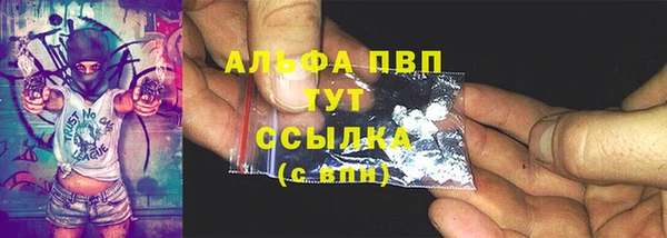 тгк Абаза
