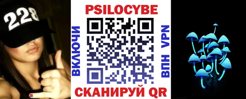 купить наркотики цена  Княгинино  Галлюциногенные грибы мицелий 