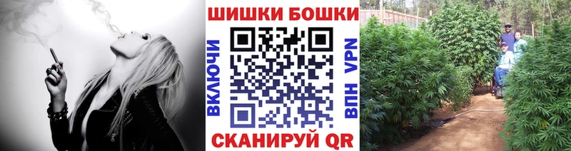 omg   цены наркотик  Княгинино  МАРИХУАНА SATIVA & INDICA 